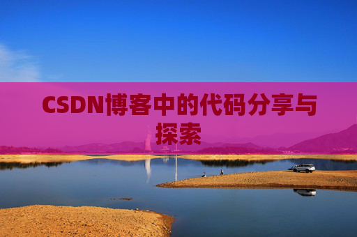 CSDN博客中的代码分享与探索